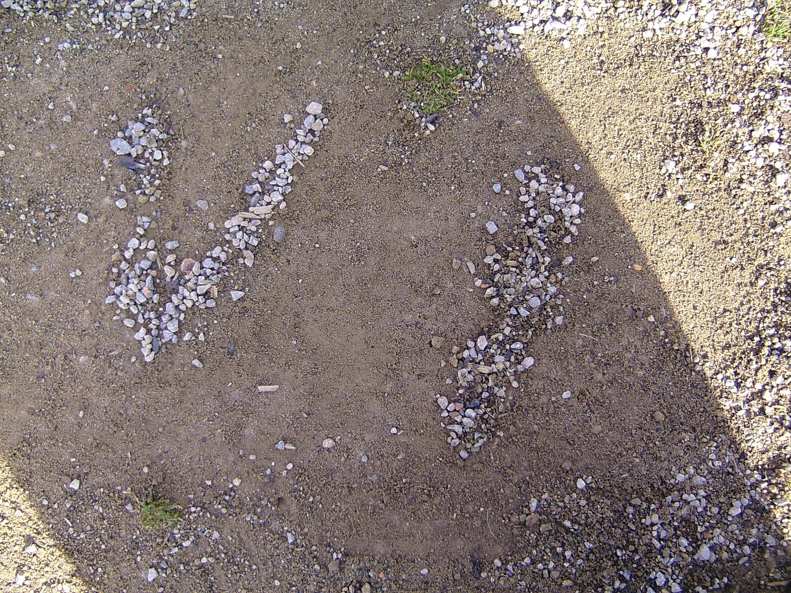 Zoom 18.10.08-114.jpg